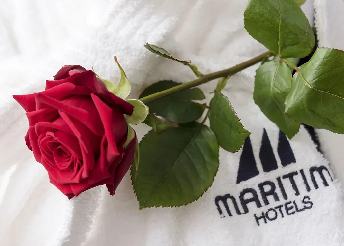 Maritim Hotel 4*